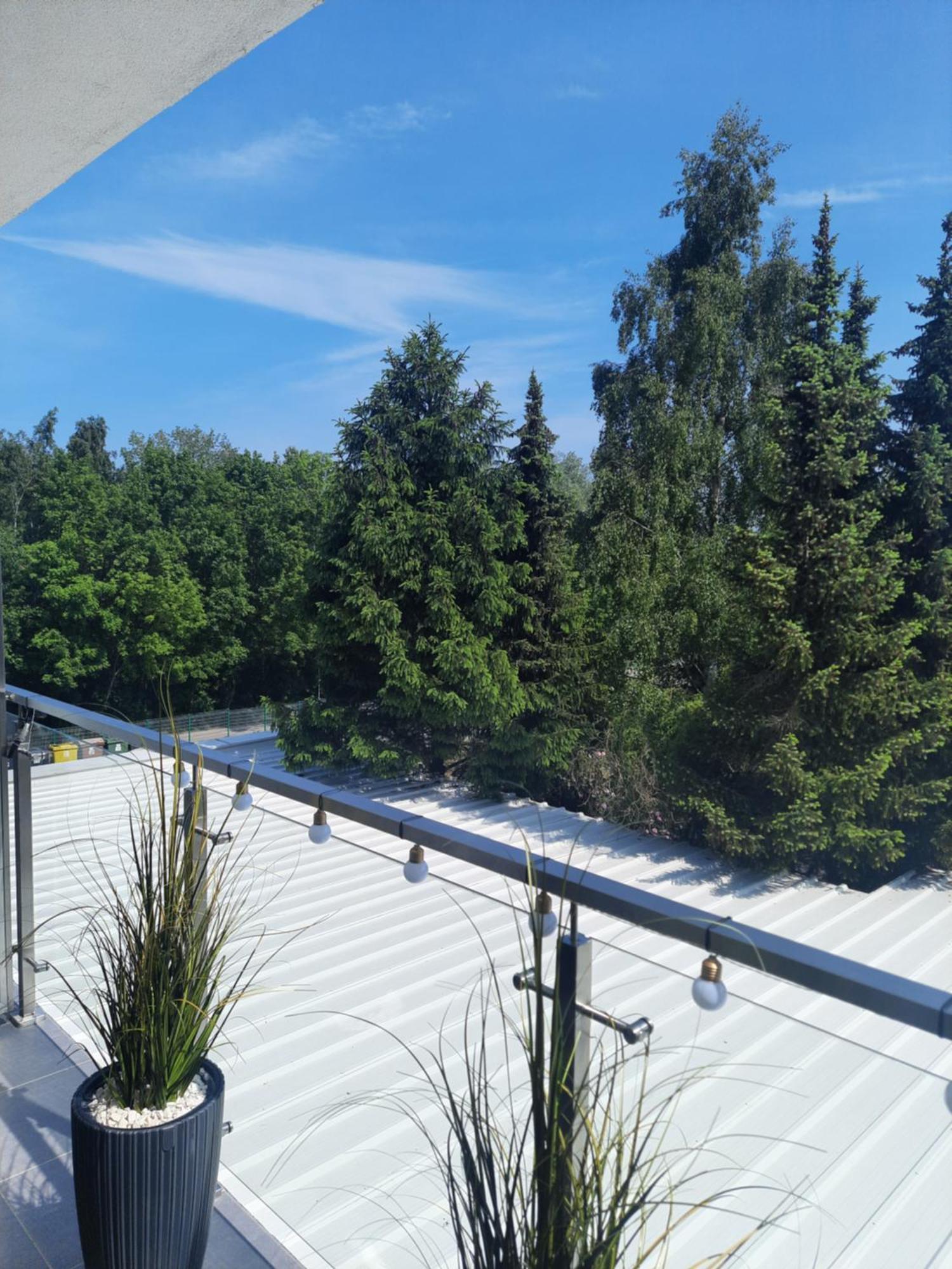 Apartament Przy Plazy 37 シャノジェンティ エクステリア 写真